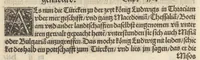 An illustration from Der Hungern Chronica : inhaltend wie sie anfenklich ins land kommen sind mit anzeygung aller irer König und was sie namhafftigs gethon haben : angefangen von ersten König Athila vñ volfüret biss auff König Ludwig so im 1526. Jar bey Mohatz vom Türcken vmbkommen ist (1534)