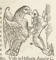Picture 1 of 35 from Icones avivm omnivm (1560), leaf 7
