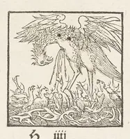 Picture 26 of 35 from Icones avivm omnivm (1560), leaf 94