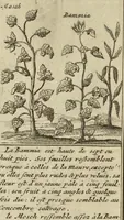 An illustration from Atlas historique, ou, Nouvelle introduction a l'histoire, à la chronologie & à la géographie ancienne & moderne : représentée dans de nouvelles cartes, où l'on remarque l'établissement des etats & empires du monde, leur durée, leur chûte, & leurs differens gouvernemens : la chronologie des consuls romains, des Papes, de empereurs, des rois & des princes, &c. qui ont été depuis le commencement du monde, jusqu'à présent : et la génealogie des maisons souveraines de l'Europe. (1720)