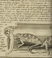 An illustration from Atlas historique, ou, Nouvelle introduction a l'histoire, à la chronologie & à la géographie ancienne & moderne : représentée dans de nouvelles cartes, où l'on remarque l'établissement des etats & empires du monde, leur durée, leur chûte, & leurs differens gouvernemens : la chronologie des consuls romains, des Papes, de empereurs, des rois & des princes, &c. qui ont été depuis le commencement du monde, jusqu'à présent : et la génealogie des maisons souveraines de l'Europe. (1720)