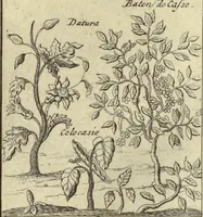 An illustration from Atlas historique, ou, Nouvelle introduction a l'histoire, à la chronologie & à la géographie ancienne & moderne : représentée dans de nouvelles cartes, où l'on remarque l'établissement des etats & empires du monde, leur durée, leur chûte, & leurs differens gouvernemens : la chronologie des consuls romains, des Papes, de empereurs, des rois & des princes, &c. qui ont été depuis le commencement du monde, jusqu'à présent : et la génealogie des maisons souveraines de l'Europe. (1720)