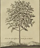 An illustration from Atlas historique, ou, Nouvelle introduction a l'histoire, à la chronologie & à la géographie ancienne & moderne : représentée dans de nouvelles cartes, où l'on remarque l'établissement des etats & empires du monde, leur durée, leur chûte, & leurs differens gouvernemens : la chronologie des consuls romains, des Papes, de empereurs, des rois & des princes, &c. qui ont été depuis le commencement du monde, jusqu'à présent : et la génealogie des maisons souveraines de l'Europe. (1720)