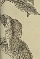 An illustration from Atlas historique, ou, Nouvelle introduction a l'histoire, à la chronologie & à la géographie ancienne & moderne : représentée dans de nouvelles cartes, où l'on remarque l'établissement des etats & empires du monde, leur durée, leur chûte, & leurs differens gouvernemens : la chronologie des consuls romains, des Papes, de empereurs, des rois & des princes, &c. qui ont été depuis le commencement du monde, jusqu'à présent : et la génealogie des maisons souveraines de l'Europe. (1720)