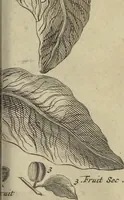 An illustration from Atlas historique, ou, Nouvelle introduction a l'histoire, à la chronologie & à la géographie ancienne & moderne : représentée dans de nouvelles cartes, où l'on remarque l'établissement des etats & empires du monde, leur durée, leur chûte, & leurs differens gouvernemens : la chronologie des consuls romains, des Papes, de empereurs, des rois & des princes, &c. qui ont été depuis le commencement du monde, jusqu'à présent : et la génealogie des maisons souveraines de l'Europe. (1720)