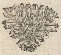 An illustration from Het nieuw tooneel der vuer-werken : waar in getoont werdt, het maken van alderhande soorten van vuer-werken, als kasteelen, slag-swaerden, draeken, starren, vuer-ballen, raderen, water-ballen, vuer-pijlen, voet-soekers, en veel meer andere vuer-werken, die die liefhebbers in het vervolgende sien konnen (1678)