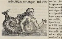 An illustration from Athanasii Kircheri è Soc. Jesu Arca Noë, in tres libros digesta : quorum I, De rebus quae ante diluvium : II, De iis, quae ipso diluvio ejusque duratione : III, De iis, quae post diluvium a Noëmo gesta sunt : quae omnia novâ methodo, nec non summa argumentorum varietate, explicantur & demonstrantur (1675)