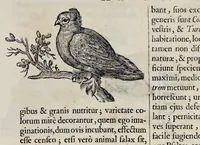Picture 43 of 75 from Athanasii Kircheri è Soc. Jesu Arca Noë, in tres libros digesta : quorum I, De rebus quae ante diluvium : II, De iis, quae ipso diluvio ejusque duratione : III, De iis, quae post diluvium a Noëmo gesta sunt : quae omnia novâ methodo, nec non summa argumentorum varietate, explicantur & demonstrantur (1675), leaf 122