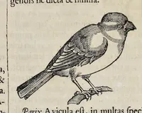 Picture 59 of 75 from Athanasii Kircheri è Soc. Jesu Arca Noë, in tres libros digesta : quorum I, De rebus quae ante diluvium : II, De iis, quae ipso diluvio ejusque duratione : III, De iis, quae post diluvium a Noëmo gesta sunt : quae omnia novâ methodo, nec non summa argumentorum varietate, explicantur & demonstrantur (1675), leaf 130