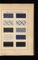 An illustration from The Katigen colours of the Farbenfabriken vorm. Friedr. Bayer & Co., Elberfeld : and their application in the various branches of the textile industries (1902)
