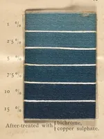 An illustration from The Katigen colours of the Farbenfabriken vorm. Friedr. Bayer & Co., Elberfeld : and their application in the various branches of the textile industries (1902)