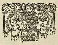 An illustration from Rerum et urbis Amstelodamensium historia. : In qua Hollandiæ primum atque inde Amstelandiæ, oppidiq[ue], natales ... additis suo loco tabulis æri incisis, ad hæc usque tempora, observata annorum serie accuratè omnia deducuntur. (1611)