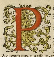 An illustration from Rerum et urbis Amstelodamensium historia. : In qua Hollandiæ primum atque inde Amstelandiæ, oppidiq[ue], natales ... additis suo loco tabulis æri incisis, ad hæc usque tempora, observata annorum serie accuratè omnia deducuntur. (1611)