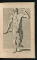 An illustration from Cognitione de muscoli del corpo humano per il disegno / opera de Carlo Cesio (1679)