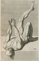 An illustration from Cognitione de muscoli del corpo humano per il disegno / opera de Carlo Cesio (1679)