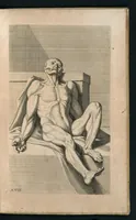 An illustration from Cognitione de muscoli del corpo humano per il disegno / opera de Carlo Cesio (1679)