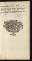 An illustration from Emblemes, ou, Devises chrétiennes : ouvrage mêlé de prose & de vers, et enrichi de figures, dedié au roy (1717)