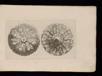 Picture 2 of 12 from Ein schön nützliches Zierathen Buch vor alle Künstler, als Goldtschmid, Bildthauer, Mahler, Ührmacher, Schlosser und andere, die sich der Kunst ergeben (1680), leaf 12