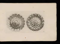 An illustration from Ein schön nützliches Zierathen Buch vor alle Künstler, als Goldtschmid, Bildthauer, Mahler, Ührmacher, Schlosser und andere, die sich der Kunst ergeben (1680)