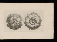 An illustration from Ein schön nützliches Zierathen Buch vor alle Künstler, als Goldtschmid, Bildthauer, Mahler, Ührmacher, Schlosser und andere, die sich der Kunst ergeben (1680)