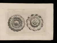 An illustration from Ein schön nützliches Zierathen Buch vor alle Künstler, als Goldtschmid, Bildthauer, Mahler, Ührmacher, Schlosser und andere, die sich der Kunst ergeben (1680)