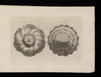 An illustration from Ein schön nützliches Zierathen Buch vor alle Künstler, als Goldtschmid, Bildthauer, Mahler, Ührmacher, Schlosser und andere, die sich der Kunst ergeben (1680)