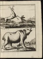 An illustration from De noordsche weereld : vertoond in twee nieuwe, aenmercklijcke, derwaerts gedaene reysen : d'eene, van de heer Martiniere door Norweegen, Lapland, Boranday, Siberien, Samojessie, Ys-land, Groenland en Nova-Zembla ... : dandre, van de Hamburger Frederick Martens, verright nae Spitsbergen of Groenland, in't jaer 1671 ... (1685)