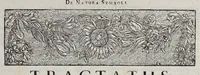 An illustration from Mundus symbolicus : in emblematum universitate formatus, explicatus, et tam sacris quàm profanis eruditionibus ac sententiis illustratus : subministrans oratoribus, praedicatoribus, academicis, poetis &c. innumera conceptuum argumenta (1729)