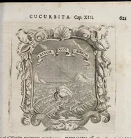 Picture 14 of 26 from Mundus symbolicus : in emblematum universitate formatus, explicatus, et tam sacris quàm profanis eruditionibus ac sententiis illustratus : subministrans oratoribus, praedicatoribus, academicis, poetis &c. innumera conceptuum argumenta (1729), leaf 674