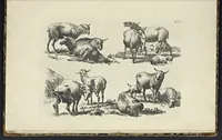 An illustration from The principles of drawing, or, An easy and familiar method for the improvement of youth in the practice of that useful art : being a compleat drawing book, containing a curious collection of examples in all the variety of cases, as the several parts of the human body, whole figures, landskips, cattle, &c. curiously engraved on copper-plates, after the designs of Albert Durer, Abrah. Bloemart, Carlo Morac, Le Clerc, Hollar, and other great masters : to which is prefix'd an introduction to drawing ... (1764)