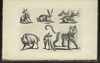 An illustration from The principles of drawing, or, An easy and familiar method for the improvement of youth in the practice of that useful art : being a compleat drawing book, containing a curious collection of examples in all the variety of cases, as the several parts of the human body, whole figures, landskips, cattle, &c. curiously engraved on copper-plates, after the designs of Albert Durer, Abrah. Bloemart, Carlo Morac, Le Clerc, Hollar, and other great masters : to which is prefix'd an introduction to drawing ... (1764)