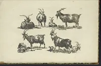 An illustration from The principles of drawing, or, An easy and familiar method for the improvement of youth in the practice of that useful art : being a compleat drawing book, containing a curious collection of examples in all the variety of cases, as the several parts of the human body, whole figures, landskips, cattle, &c. curiously engraved on copper-plates, after the designs of Albert Durer, Abrah. Bloemart, Carlo Morac, Le Clerc, Hollar, and other great masters : to which is prefix'd an introduction to drawing ... (1764)