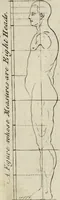 An illustration from The principles of drawing, or, An easy and familiar method for the improvement of youth in the practice of that useful art : being a compleat drawing book, containing a curious collection of examples in all the variety of cases, as the several parts of the human body, whole figures, landskips, cattle, &c. curiously engraved on copper-plates, after the designs of Albert Durer, Abrah. Bloemart, Carlo Morac, Le Clerc, Hollar, and other great masters : to which is prefix'd an introduction to drawing ... (1764)