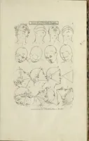 An illustration from The principles of drawing, or, An easy and familiar method for the improvement of youth in the practice of that useful art : being a compleat drawing book, containing a curious collection of examples in all the variety of cases, as the several parts of the human body, whole figures, landskips, cattle, &c. curiously engraved on copper-plates, after the designs of Albert Durer, Abrah. Bloemart, Carlo Morac, Le Clerc, Hollar, and other great masters : to which is prefix'd an introduction to drawing ... (1764)