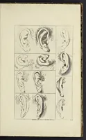 An illustration from The principles of drawing, or, An easy and familiar method for the improvement of youth in the practice of that useful art : being a compleat drawing book, containing a curious collection of examples in all the variety of cases, as the several parts of the human body, whole figures, landskips, cattle, &c. curiously engraved on copper-plates, after the designs of Albert Durer, Abrah. Bloemart, Carlo Morac, Le Clerc, Hollar, and other great masters : to which is prefix'd an introduction to drawing ... (1764)
