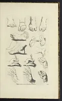 An illustration from The principles of drawing, or, An easy and familiar method for the improvement of youth in the practice of that useful art : being a compleat drawing book, containing a curious collection of examples in all the variety of cases, as the several parts of the human body, whole figures, landskips, cattle, &c. curiously engraved on copper-plates, after the designs of Albert Durer, Abrah. Bloemart, Carlo Morac, Le Clerc, Hollar, and other great masters : to which is prefix'd an introduction to drawing ... (1764)