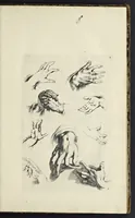 An illustration from The principles of drawing, or, An easy and familiar method for the improvement of youth in the practice of that useful art : being a compleat drawing book, containing a curious collection of examples in all the variety of cases, as the several parts of the human body, whole figures, landskips, cattle, &c. curiously engraved on copper-plates, after the designs of Albert Durer, Abrah. Bloemart, Carlo Morac, Le Clerc, Hollar, and other great masters : to which is prefix'd an introduction to drawing ... (1764)