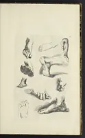 An illustration from The principles of drawing, or, An easy and familiar method for the improvement of youth in the practice of that useful art : being a compleat drawing book, containing a curious collection of examples in all the variety of cases, as the several parts of the human body, whole figures, landskips, cattle, &c. curiously engraved on copper-plates, after the designs of Albert Durer, Abrah. Bloemart, Carlo Morac, Le Clerc, Hollar, and other great masters : to which is prefix'd an introduction to drawing ... (1764)