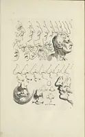 An illustration from The principles of drawing, or, An easy and familiar method for the improvement of youth in the practice of that useful art : being a compleat drawing book, containing a curious collection of examples in all the variety of cases, as the several parts of the human body, whole figures, landskips, cattle, &c. curiously engraved on copper-plates, after the designs of Albert Durer, Abrah. Bloemart, Carlo Morac, Le Clerc, Hollar, and other great masters : to which is prefix'd an introduction to drawing ... (1764)