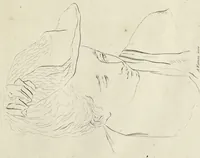 Picture 16 of 54 from The principles of drawing, or, An easy and familiar method for the improvement of youth in the practice of that useful art : being a compleat drawing book, containing a curious collection of examples in all the variety of cases, as the several parts of the human body, whole figures, landskips, cattle, &c. curiously engraved on copper-plates, after the designs of Albert Durer, Abrah. Bloemart, Carlo Morac, Le Clerc, Hollar, and other great masters : to which is prefix'd an introduction to drawing ... (1764), leaf 36