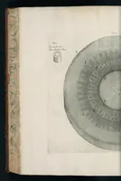 An illustration from The anatomy of plants : with, An idea of a philosophical history of plants, and several other lectures (1682)