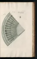 An illustration from The anatomy of plants : with, An idea of a philosophical history of plants, and several other lectures (1682)