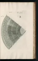 An illustration from The anatomy of plants : with, An idea of a philosophical history of plants, and several other lectures (1682)