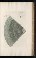 Picture 21 of 48 from The anatomy of plants : with, An idea of a philosophical history of plants, and several other lectures (1682), leaf 438