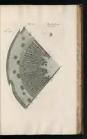 An illustration from The anatomy of plants : with, An idea of a philosophical history of plants, and several other lectures (1682)