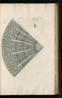 Picture 23 of 48 from The anatomy of plants : with, An idea of a philosophical history of plants, and several other lectures (1682), leaf 452