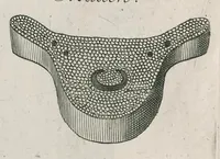 Picture 29 of 48 from The anatomy of plants : with, An idea of a philosophical history of plants, and several other lectures (1682), leaf 486