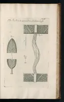 Picture 32 of 48 from The anatomy of plants : with, An idea of a philosophical history of plants, and several other lectures (1682), leaf 492