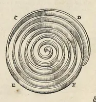 Picture 50 of 57 from Les dix livres d'architecture de Vitruve : corrigez et traduits nouvellement en françois, avec des notes & des figures (1684), leaf 319
