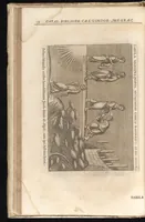 Picture 7 of 34 from Catalogus, sive, Recensio specialis omnium codicum manuscriptorum Graecorum, nec non linguarum orientalium, augustissimae Bibliothecae Caesareae Vindobonensis (1690), leaf 101